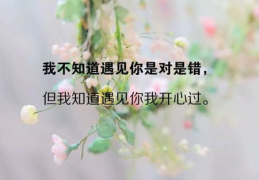 简短的金句,副标题的艺术魅力