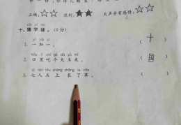 七人头上长了草打一字猜字,七人头上长了草，揭秘一字谜底”